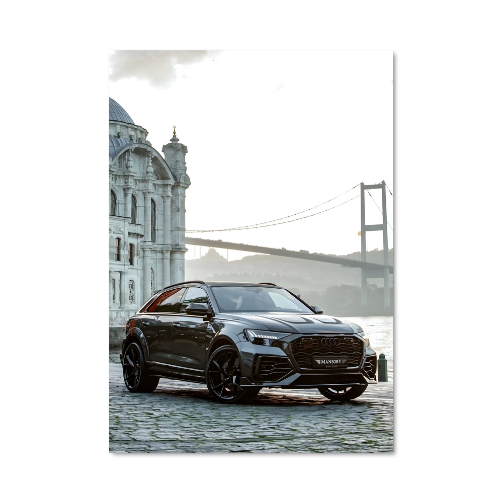 Poster Vitesse Audi
